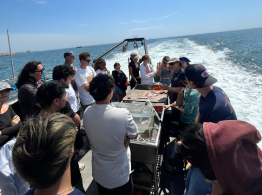 students analyzing marine life